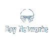 baynetworks.gif (1638 bytes)